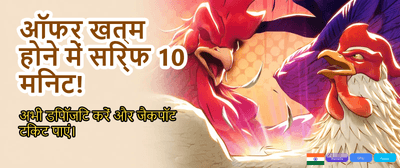 Exclusive Baji Bonanza hero